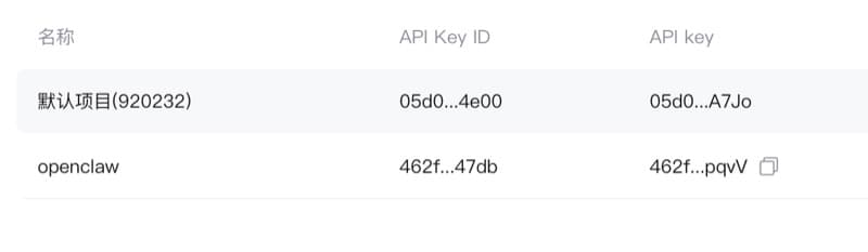 复制 API Key