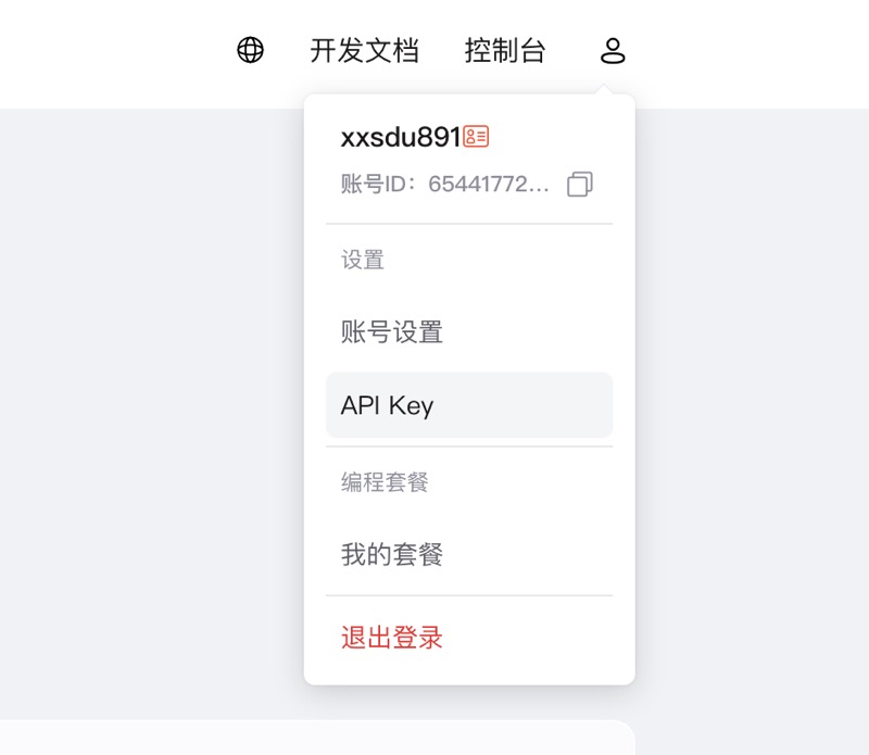 点击头像 - 选择 API Key 菜单