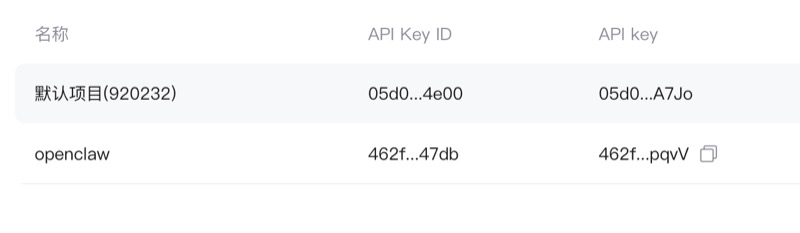 复制 API Key