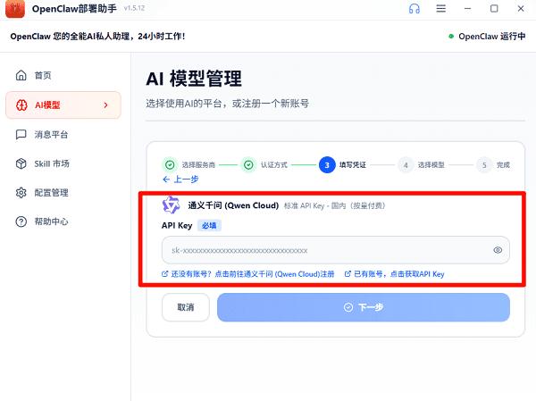 填写 API Key